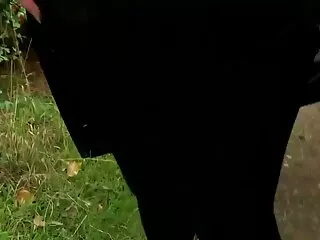 مردی در اتاق هتل همسایه مو قرمز را معاشقه و پیچ می کند فیلم سکسی مالیدن سینه