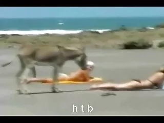 دختر فیلم سینه خوردن سکسی لباس زیرش را درآورد و با انگشت کلاه را لمس کرد